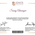 Resmi büyüt: certificate 24