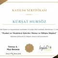 Resmi büyüt: certificate 2