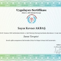 Resmi büyüt: certificate 3