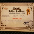 Resmi büyüt: certificate 9
