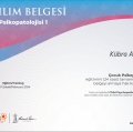 Resmi büyüt: certificate 9