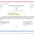 Resmi büyüt: certificate 1