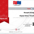 Resmi büyüt: certificate 12