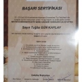 Resmi büyüt: certificate 6