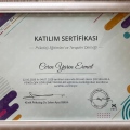 Resmi büyüt: certificate 5
