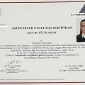 Resmi büyüt: certificate 1