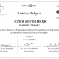 Resmi büyüt: certificate 24