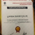 Resmi büyüt: certificate 27