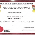 Resmi büyüt: certificate 23