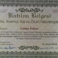 Resmi büyüt: certificate 8