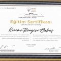 Resmi büyüt: certificate 2