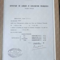 Resmi büyüt: certificate 5