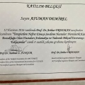 Resmi büyüt: certificate 4