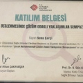 Resmi büyüt: certificate 7
