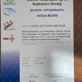 Resmi büyüt: certificate 3