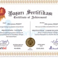Resmi büyüt: certificate 10