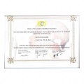 Resmi büyüt: certificate 7