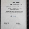 Resmi büyüt: certificate 6