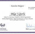 Resmi büyüt: certificate 10