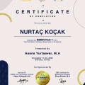 Resmi büyüt: certificate 1