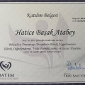 Resmi büyüt: certificate 11