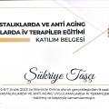 Resmi büyüt: certificate 3