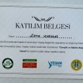 Resmi büyüt: certificate 3