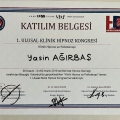 Resmi büyüt: certificate 9