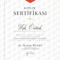 Resmi büyüt: certificate 4