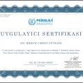 Resmi büyüt: certificate 3