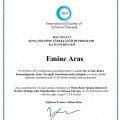 Resmi büyüt: certificate 1