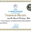 Resmi büyüt: certificate 49