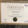 Resmi büyüt: certificate 1