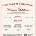 Resmi büyüt: certificate 11