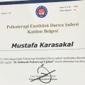 Resmi büyüt: certificate 2