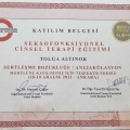 Resmi büyüt: certificate 12
