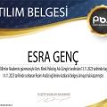 Resmi büyüt: certificate 4