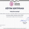 Resmi büyüt: certificate 9