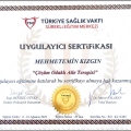 Resmi büyüt: certificate 14