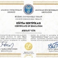 Resmi büyüt: certificate 7
