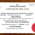 Resmi büyüt: certificate 1