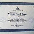 Resmi büyüt: certificate 2