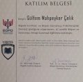 Resmi büyüt: certificate 1