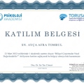 Resmi büyüt: certificate 8