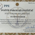 Resmi büyüt: certificate 2