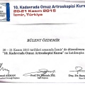 Resmi büyüt: certificate 1