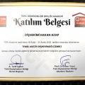 Resmi büyüt: certificate 16