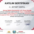 Resmi büyüt: certificate 10