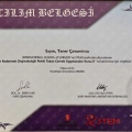 Resmi büyüt: certificate 2