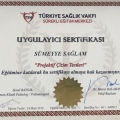 Resmi büyüt: certificate 15